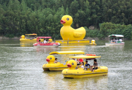 夏游紫竹院公园