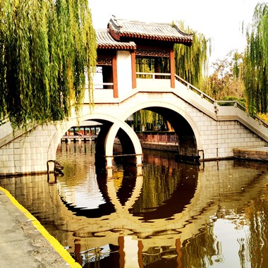 漫游团结湖公园