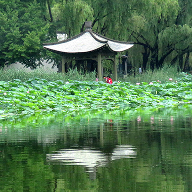 京郊野趣好去处 柳荫公园来打卡