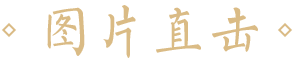 图片直击-seo