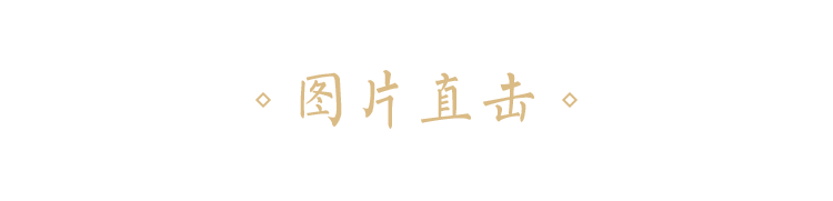图片直击-seo