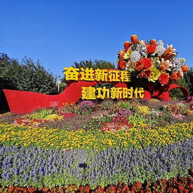 纪念抗战胜利80周年主题花坛亮相