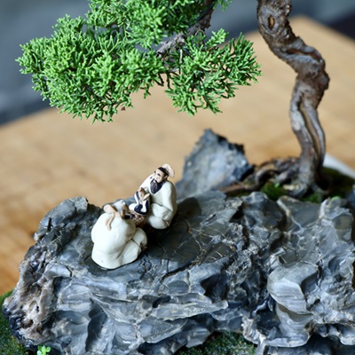 景山公园盆景展佳作荟萃