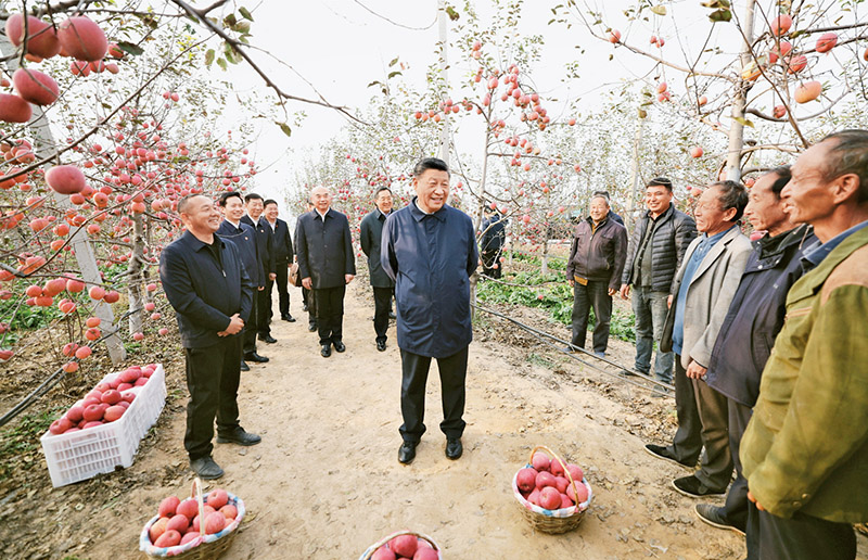 2022年10月26日至28日，中共中央总书记、国家主席、中央军委主席习近平在陕西省延安市、河南省安阳市考察。这是26日下午，习近平在延安市安塞区高桥镇南沟村苹果园同老乡们亲切交流。