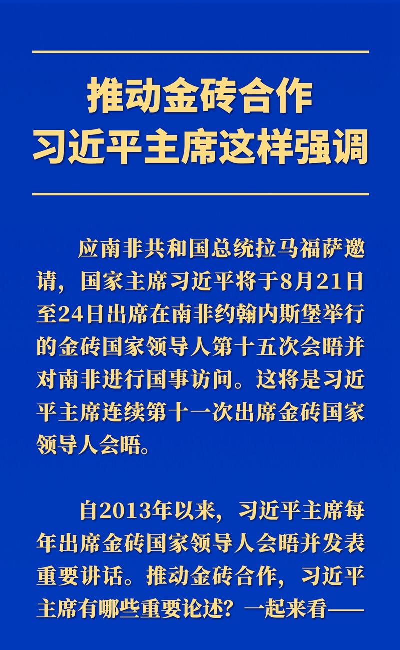 推动金砖合作 习近平主席这样强调