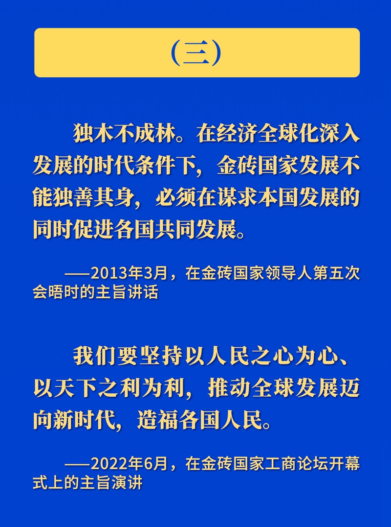 推动金砖合作 习近平主席这样强调