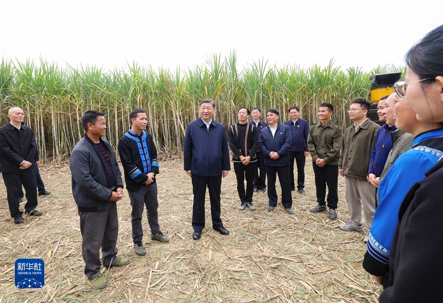12月14日至15日，中共中央总书记、国家主席、中央军委主席习近平在广西考察。这是14日下午，习近平在来宾市国家现代农业产业园黄安优质“双高”糖料蔗基地考察时，同蔗农、农机手和农技人员亲切交流。