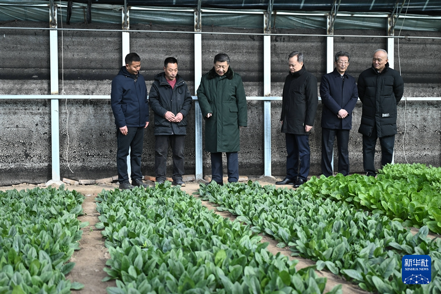 2月1日至2日，中共中央总书记、国家主席、中央军委主席习近平来到天津，看望慰问基层干部群众。这是1日上午，习近平在西青区辛口镇第六埠村实地察看去年洪涝灾害后当地农业生产恢复等情况时，走进大棚看蔬菜长势。