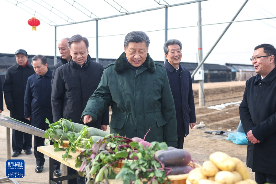 2月1日至2日，中共中央总书记、国家主席、中央军委主席习近平来到天津，看望慰问基层干部群众。这是1日上午，习近平在西青区辛口镇第六埠村考察，实地察看去年洪涝灾害后当地农业生产恢复等情况。