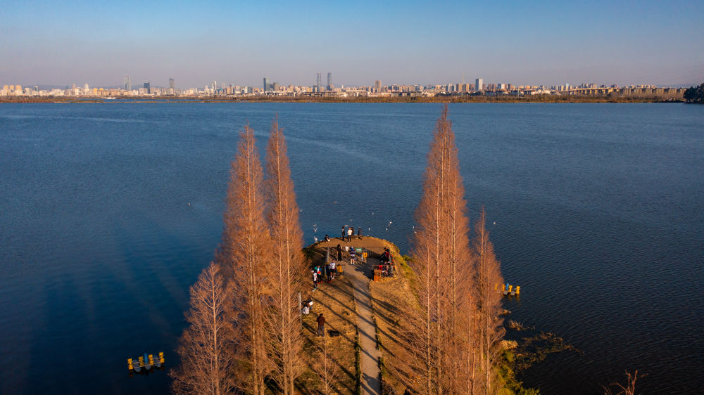 游客在昆明滇池边游玩（2024年1月13日摄，无人机照片）。