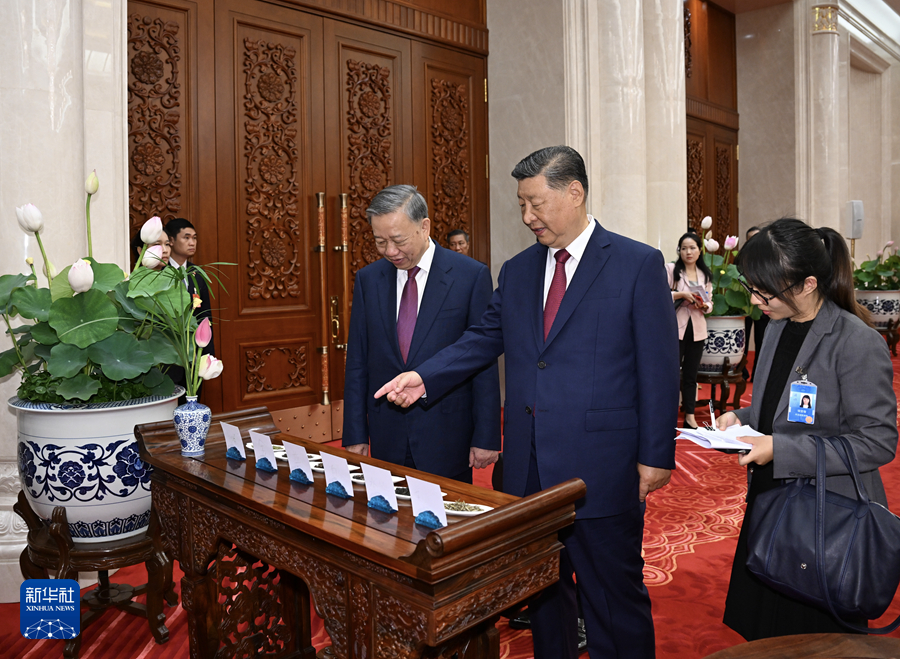 8月19日，中共中央总书记、国家主席习近平在北京人民大会堂同来华进行国事访问的越共中央总书记、国家主席苏林举行会谈。这是习近平同苏林进行小范围茶叙。