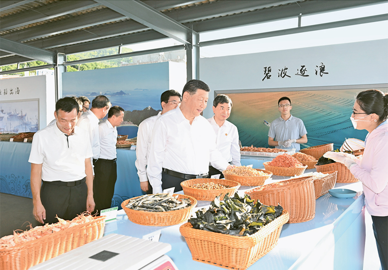 2024年10月15日至16日，中共中央总书记、国家主席、中央军委主席习近平在福建考察。这是15日下午，习近平在漳州市东山县陈城镇澳角村考察时，了解海鲜干货和渔获产品交易情况。