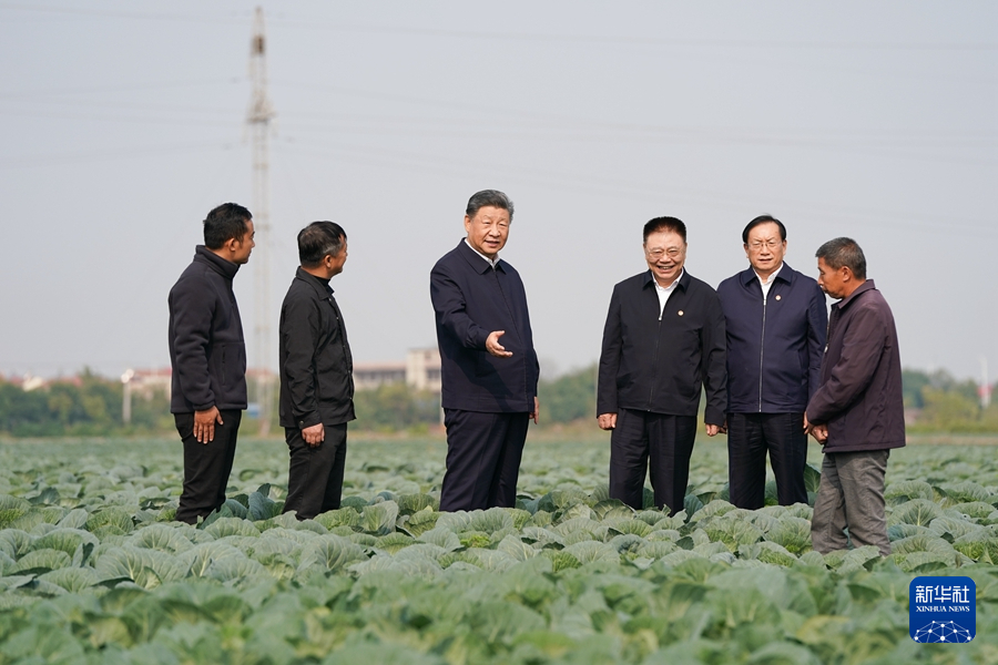 11月4日至6日，中共中央总书记、国家主席、中央军委主席习近平在湖北考察。这是5日上午，习近平在咸宁市嘉鱼县潘家湾镇十里蔬菜长廊考察时，走进田间，察看蔬菜长势