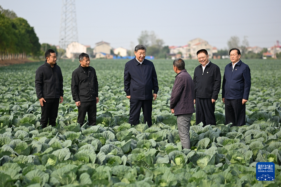 11月4日至6日，中共中央总书记、国家主席、中央军委主席习近平在湖北考察。这是5日上午，习近平在咸宁市嘉鱼县潘家湾镇十里蔬菜长廊考察时，同菜农亲切交流。