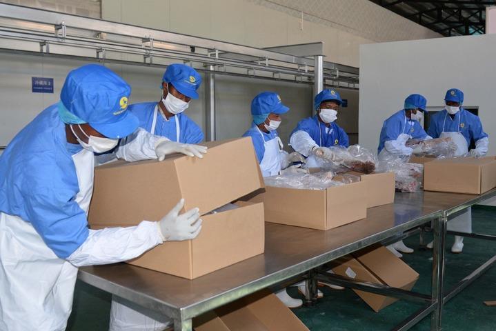 2024年9月11日，在马达加斯加首都塔那那利佛，当地工人包装即将出口中国的羊肉。