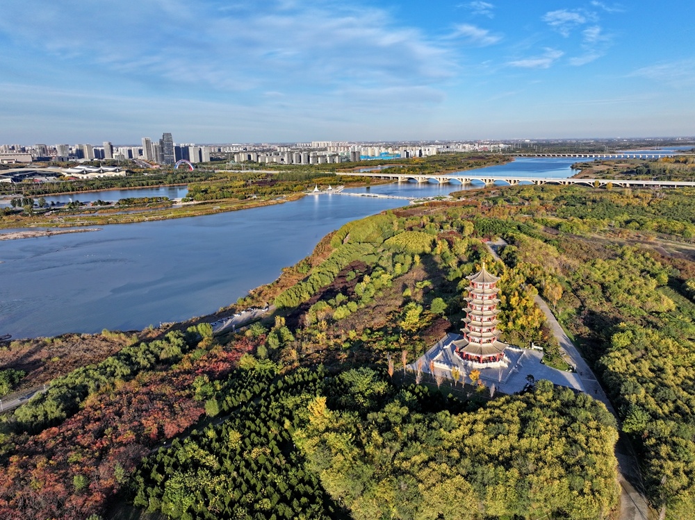 河北省石家庄市滹沱河沿岸景色（2024年11月4日摄，无人机照片）。