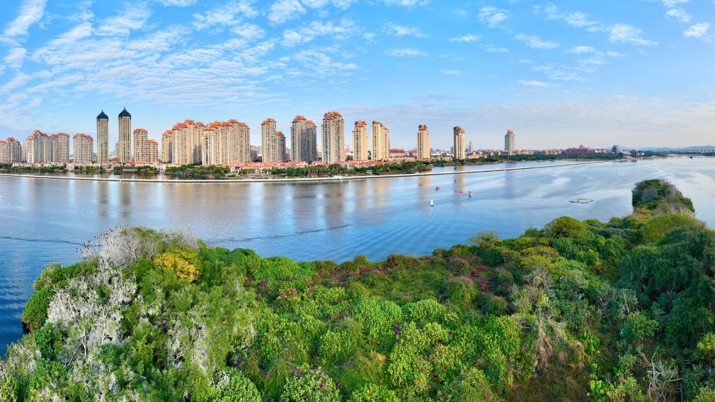 福建厦门杏林湾一带的湿地及城市景观（2024年1月24日摄，无人机全景照片）。