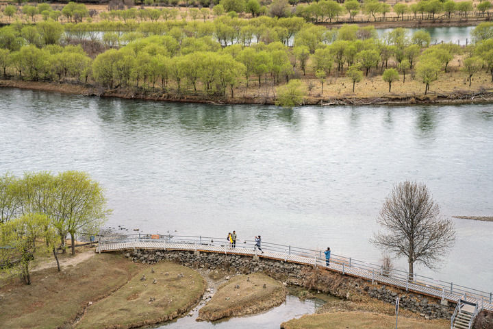 游客在西藏雅尼国家湿地公园欣赏风景（2025年4月4日摄）。