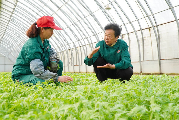 2023年2月20日，在山东省曹县五里墩村，王银香（右）在生态农场里与村民交流。
