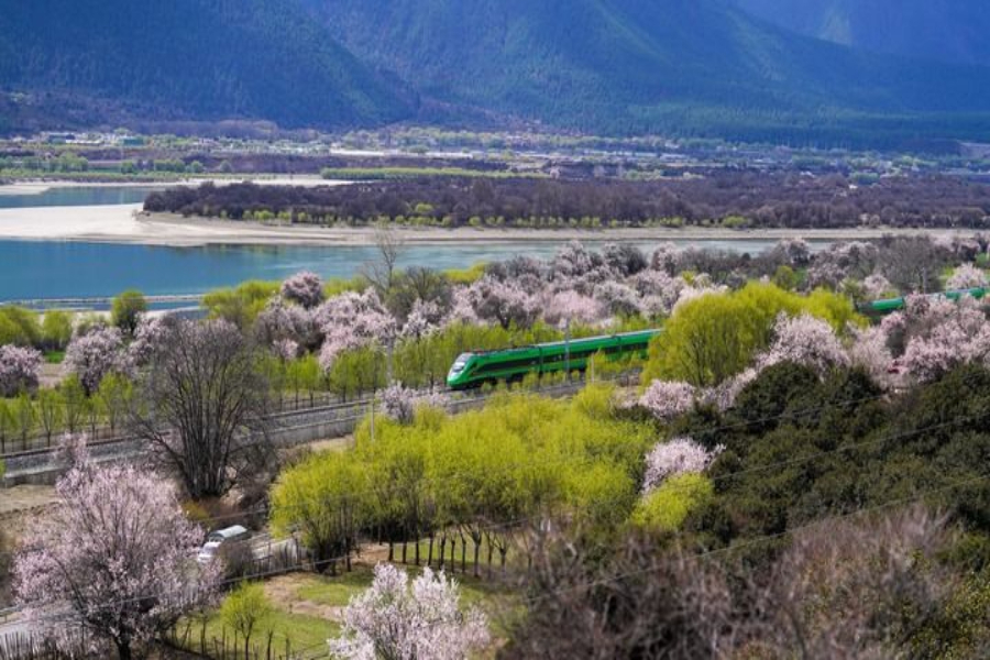 2025年4月2日，复兴号列车穿行在拉林铁路林芝段。