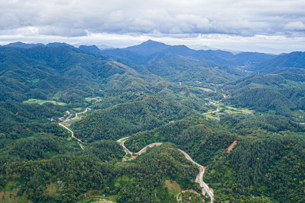 这是2025年7月22日在海南省保亭黎族苗族自治县毛感乡拍摄的热带雨林及蜿蜒其中的环热带雨林国家公园旅游公路（无人机照片）。