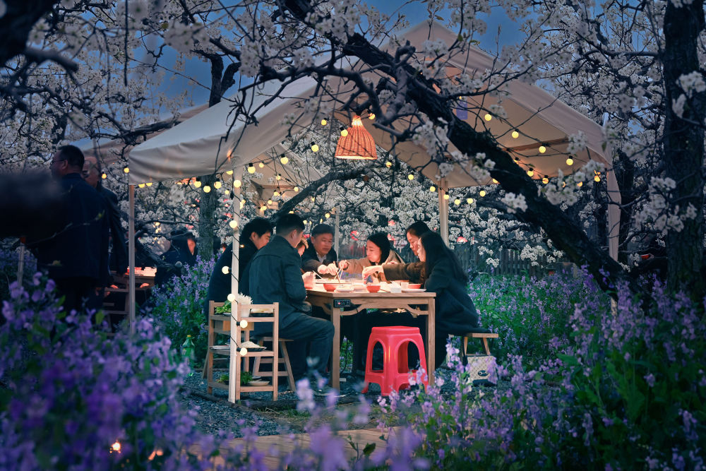 2026年3月30日，游客在安徽省宿州市砀山县梨小萌欢乐梨园品尝梨园火锅。