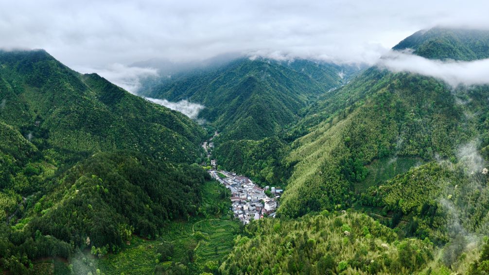 2026年5月8日拍摄的福建武夷山国家公园腹地桐木村一带景观(无人机照片)。 2026年5月8日拍摄的福建武夷山国家公园腹地桐木村一带景观(无人机照片)。