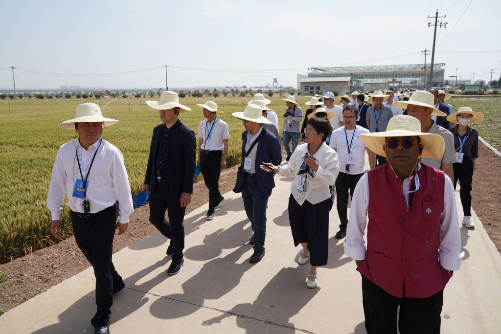 2025年5月19日，上海合作组织减贫和可持续发展论坛与会人员在陕西杨凌参观旱区农业节水技术与装备田间展。