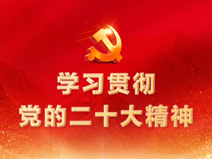 学习贯彻党的二十大精神