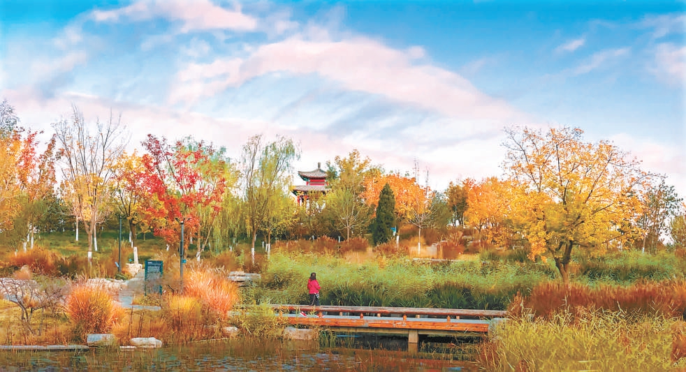 城市绿心森林公园秋景。