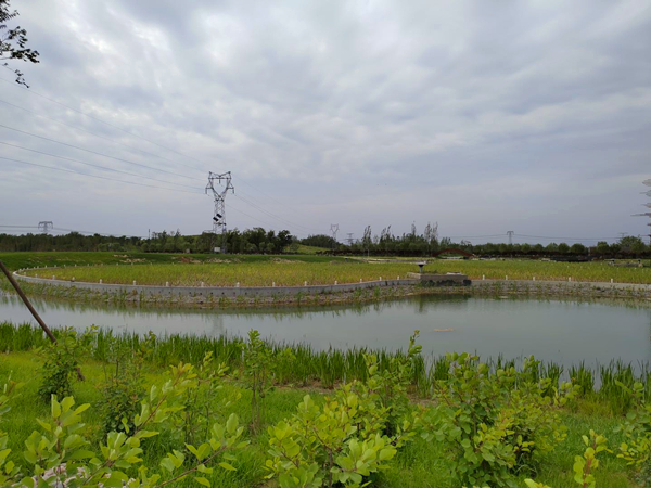 昔日残砖碎瓦 今日生态绿岛 建筑垃圾再生产品助力温榆河公园建设