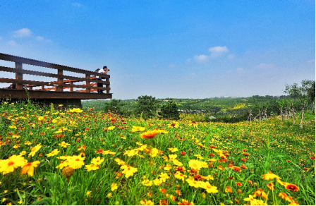 青龙湖森林公园