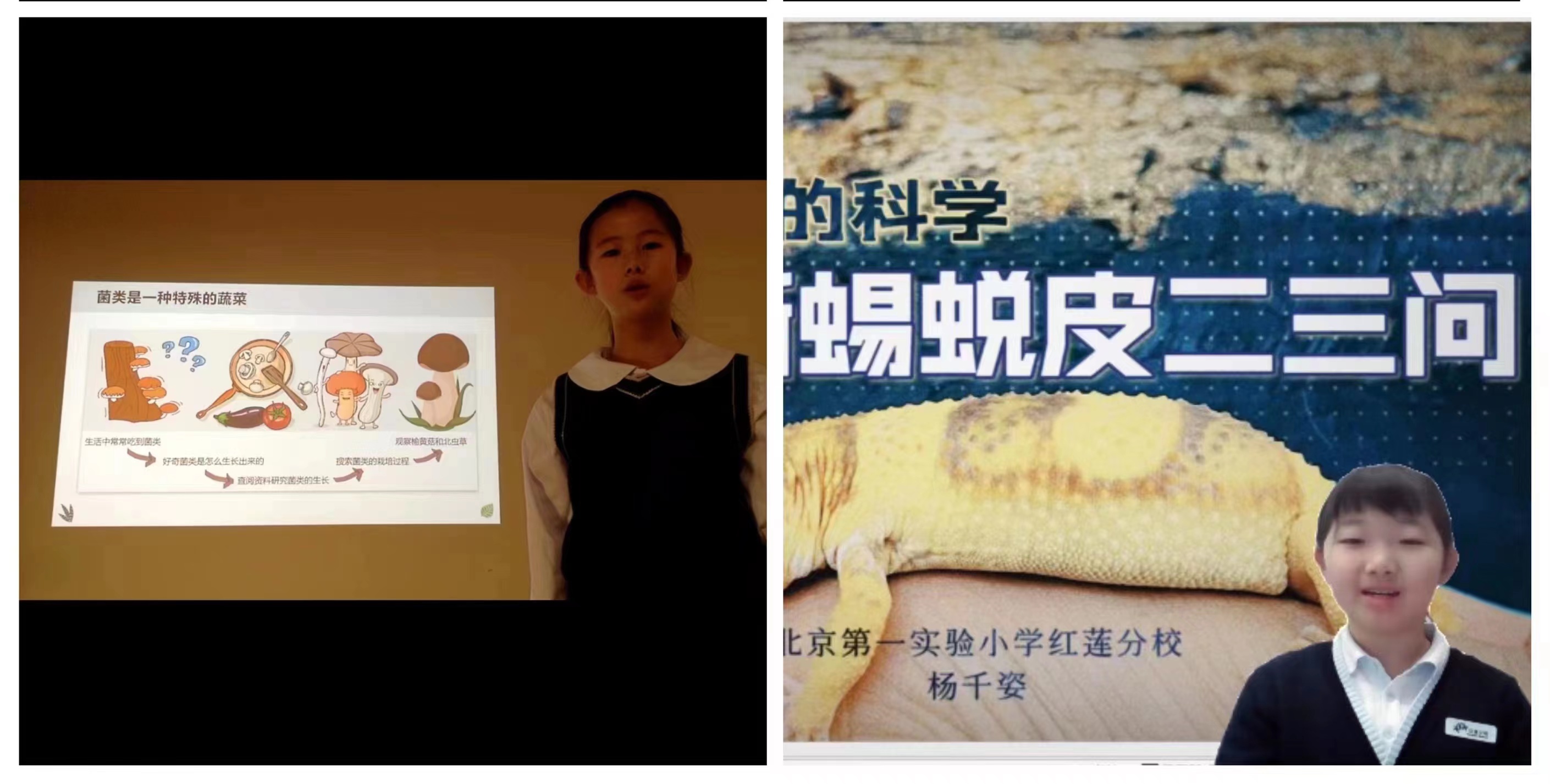 北京市中小学生科学在身边活动圆满结束