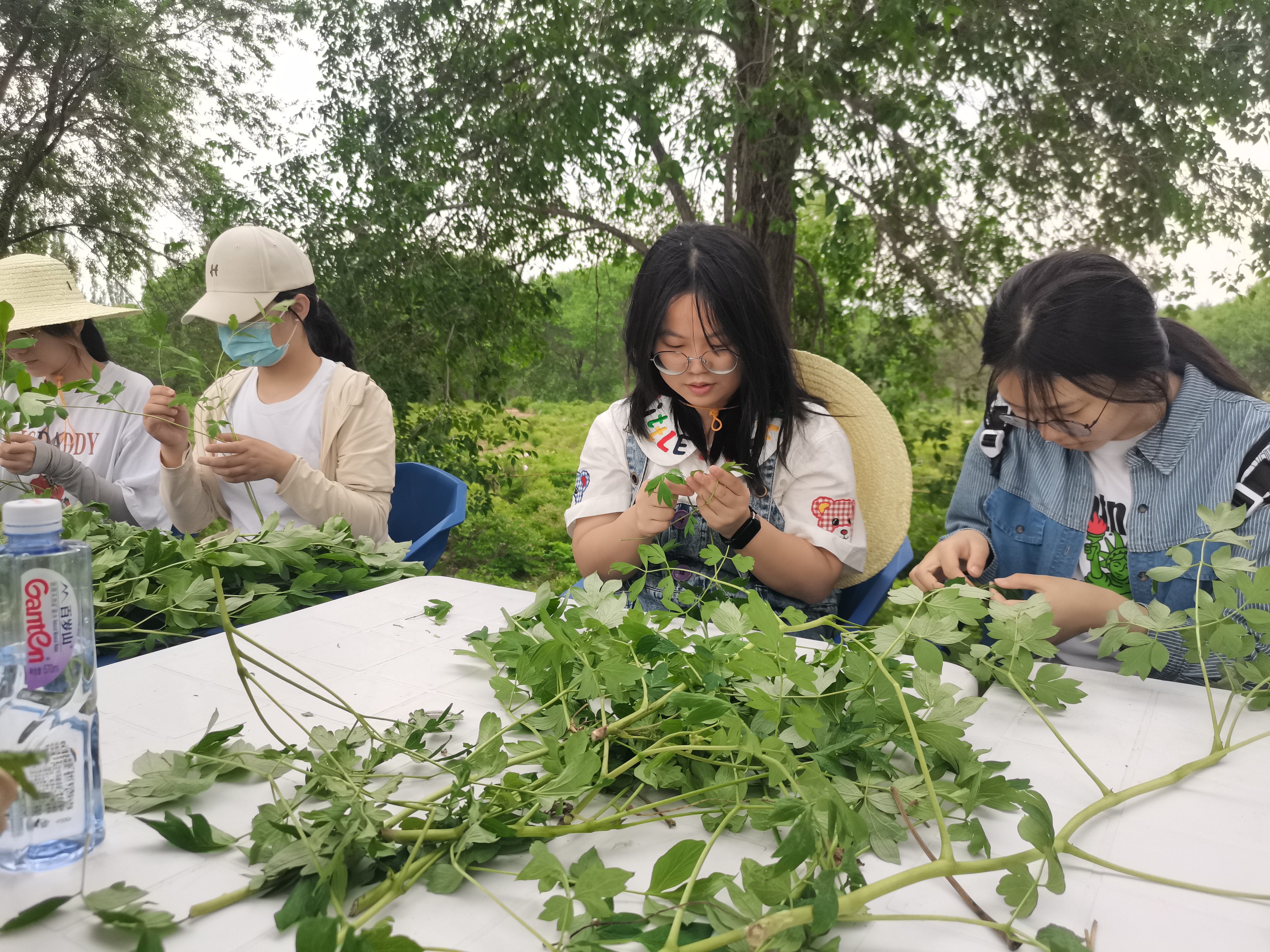 把课堂搬到“田间地头”去——北京第二外国语学院学生劳动实践活动进行时