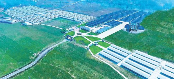 北京扶贫协作项目阜平县硒鸽实业有限公司鸟瞰图。