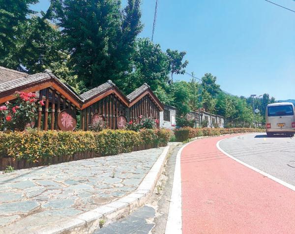 南阳市西峡县猕猴桃小镇里的顺义大道。