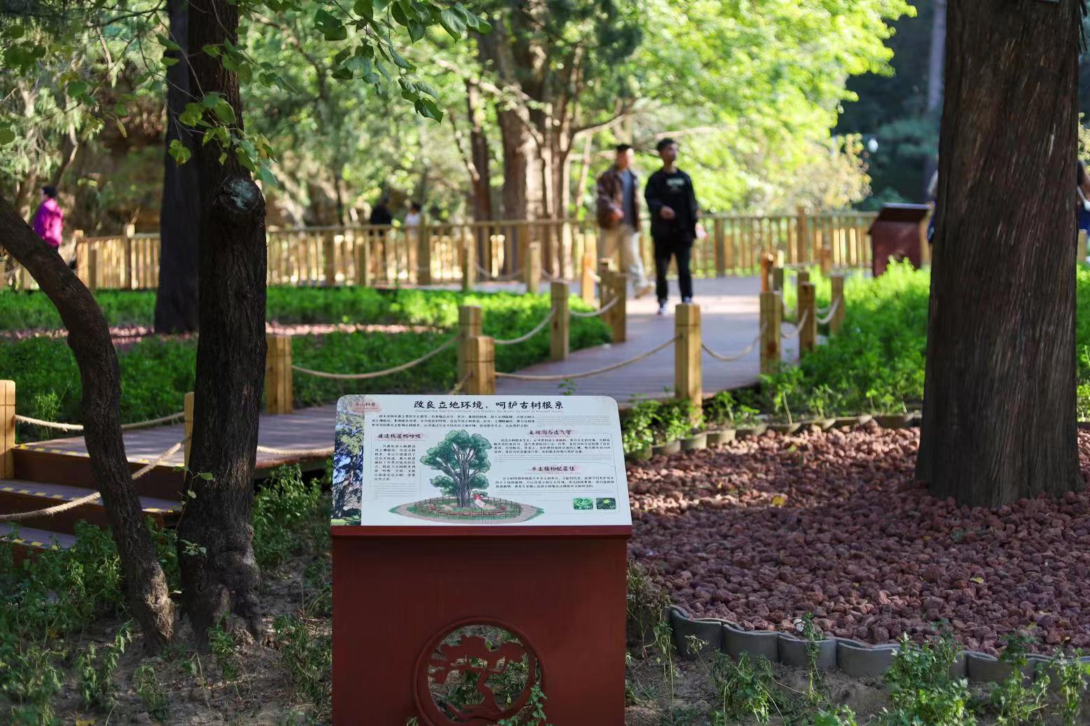 香山公园设立首个古树保护示范区