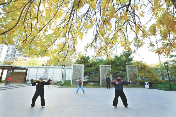 位于西城区铁路沿线的逸清园城市森林公园秋景迷人，市民在园内运动健身。