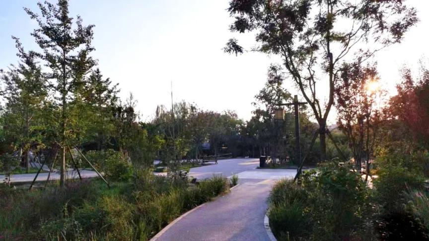 小微绿地、林荫路、城市画廊……看副中心如何打造“花园城市”