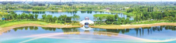 城市绿心森林公园