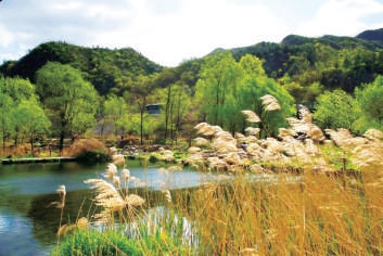 昌平区羊台子村