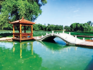 顺义区前鲁各庄村