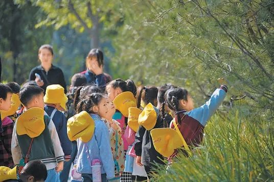 孩子们在奥北森林公园辨认植物