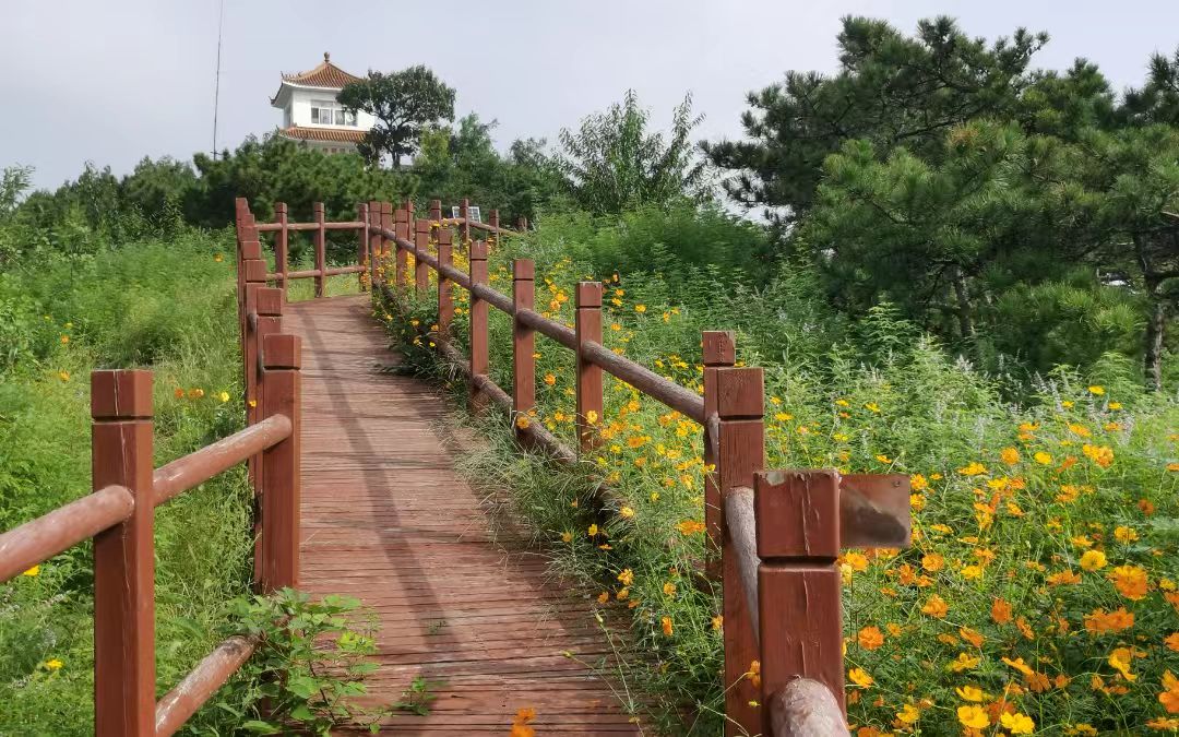 北京市首个国有林场林权类不动产证颁发