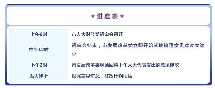 进度表