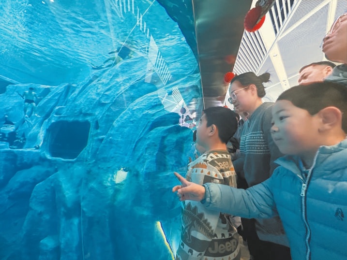 超极合生汇全民环潜潜水馆的玻璃巨幕引来孩子们驻足。
