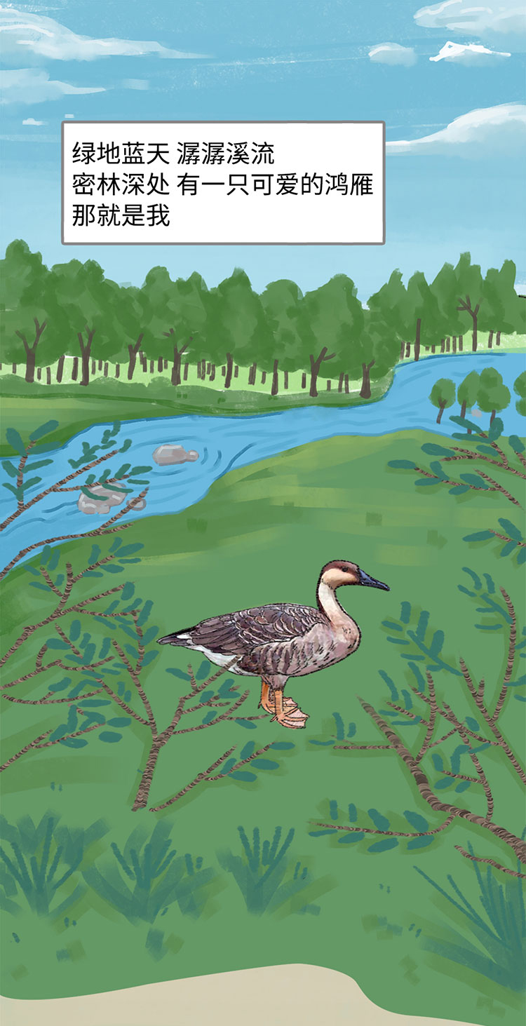 关于绿隔地区规划 听听TA们怎么说