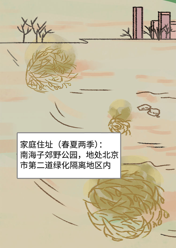 关于绿隔地区规划 听听TA们怎么说