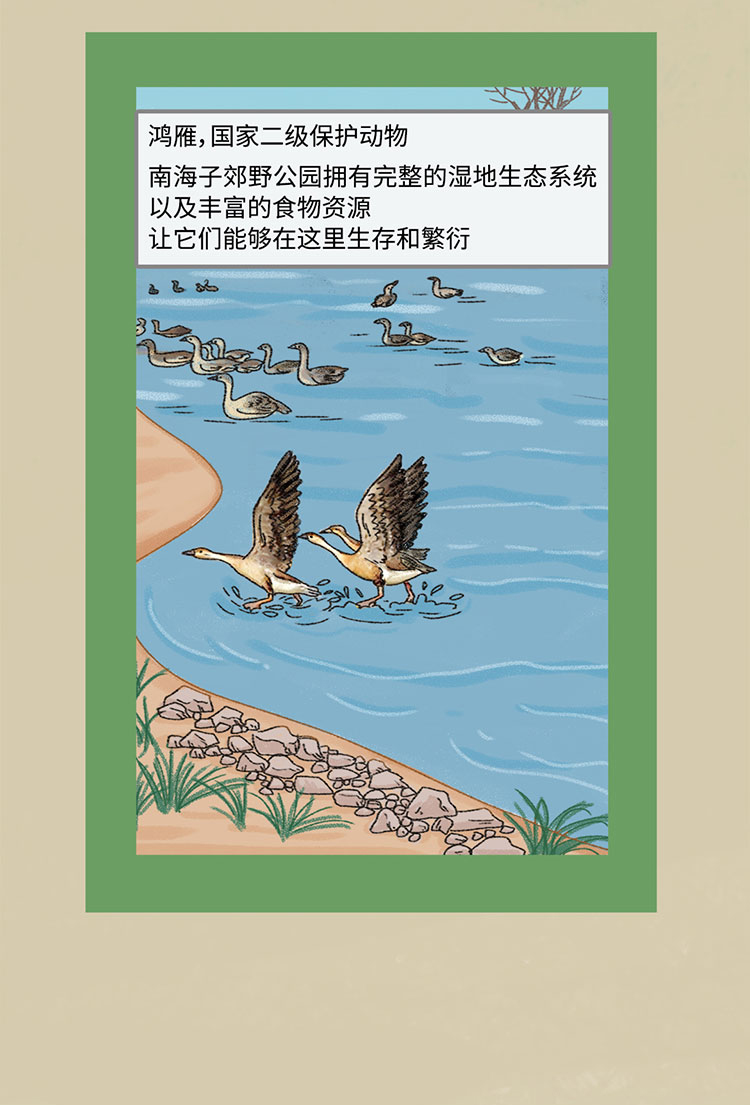 关于绿隔地区规划 听听TA们怎么说