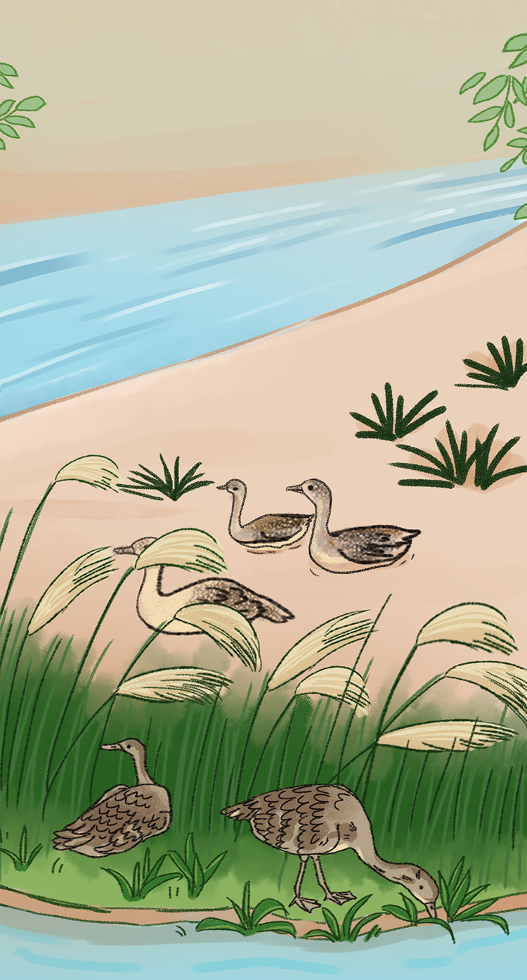 关于绿隔地区规划 听听TA们怎么说